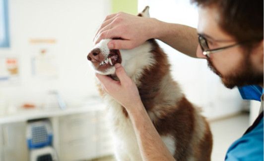 screenshot-docs.google.com-2022.10.24-21_33_38