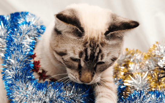 screenshot-docs.google.com-2022.12.19-23_51_27