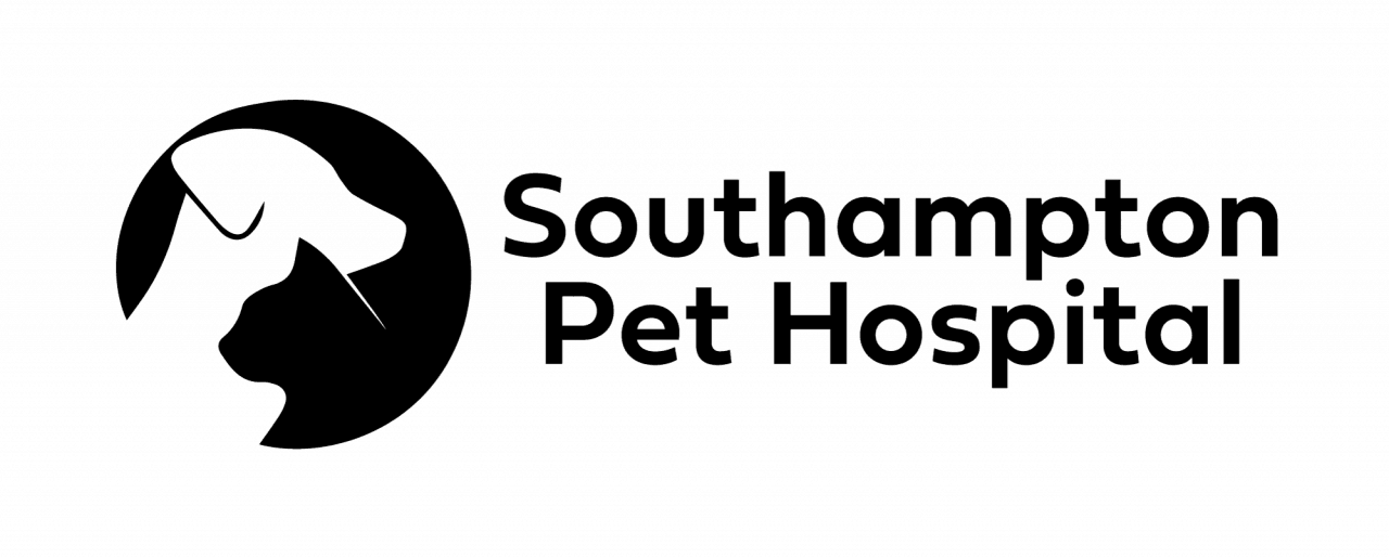 5 Reasons Why Regular Grooming is Essential for Your Pet's Health